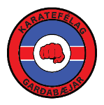 Kumite  9 ára og eldri