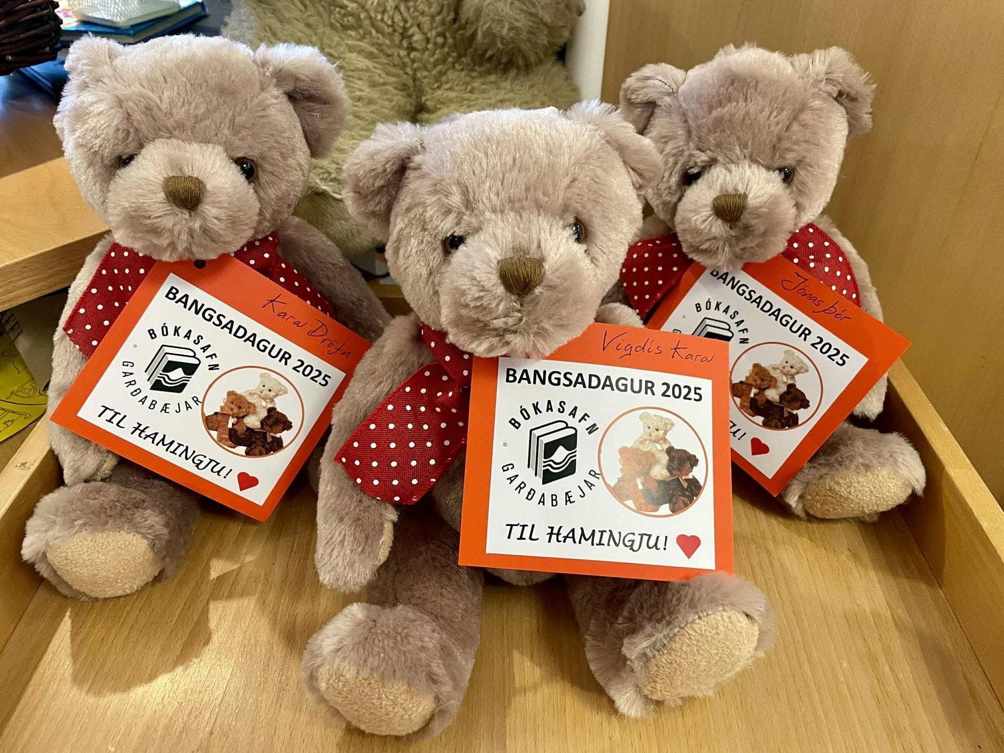 Teddy Bear Day - Garðabær Library