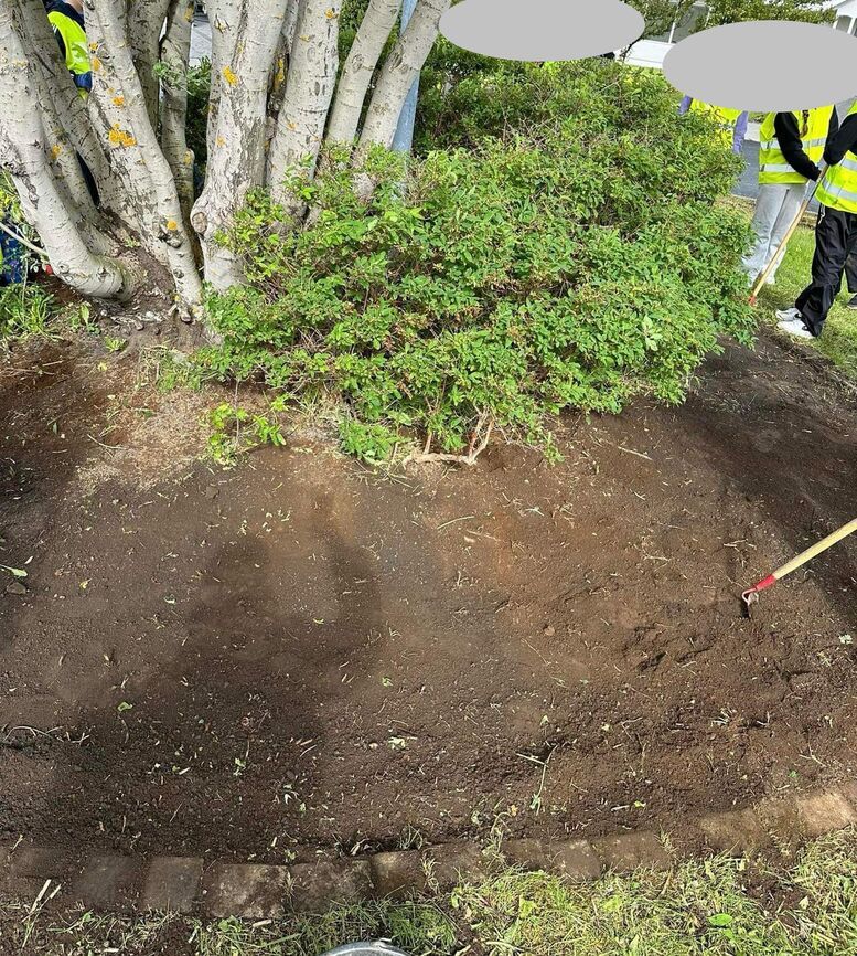 449445639_1534358117288087_7536353192832310721_n