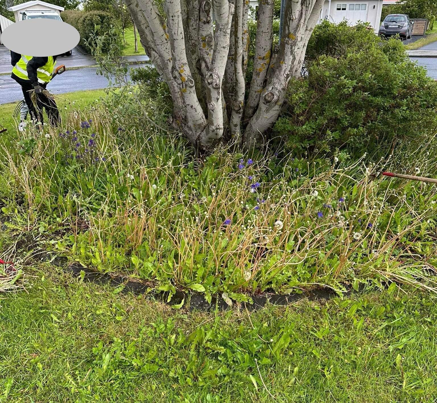 449690842_389915180768294_7526564156634436605_n