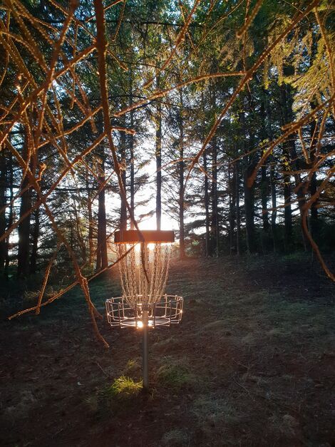 Frisbigolfvollur_Vifilsstadir_karfa2_1750686687018