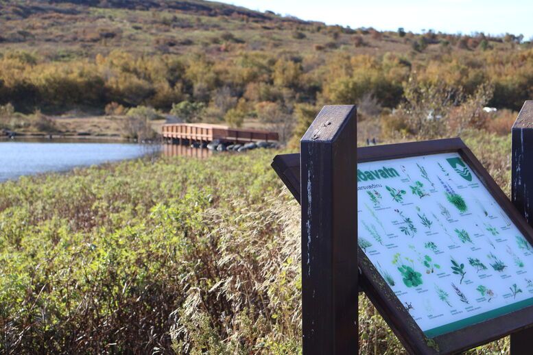 IMG_0376_1728477415525