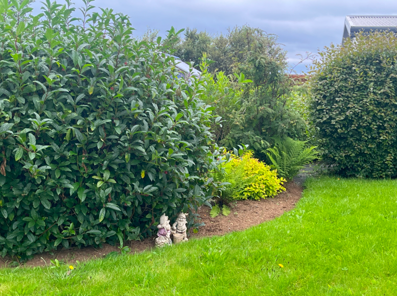 Skjamynd-2025-09-01-112100