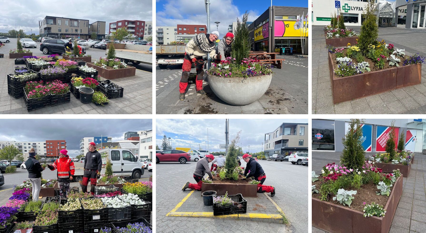 Sumarblom_1749719440225