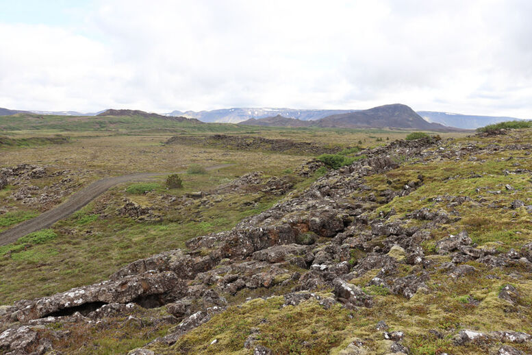 Búrfell og umhverfi friðlýst