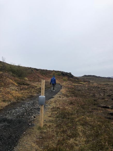 Gönguteljari á stíg sem liggur að Búrfellsgjá