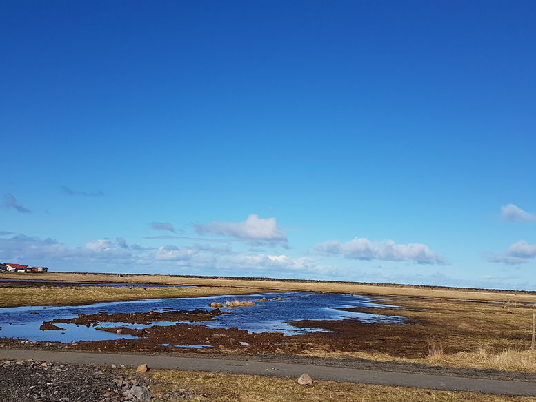 Votlendið við Kasthúsatjörn