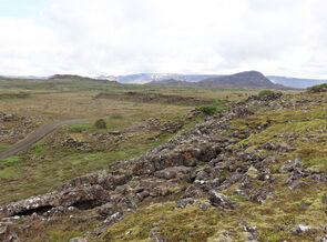 Búrfell og umhverfi friðlýst