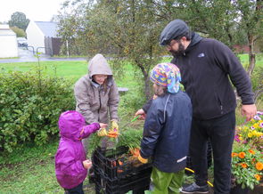 Uppskeruhátíð skólagarða 2019