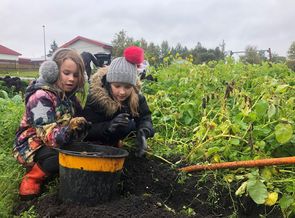 Uppskeruhátíð skólagarða 2019