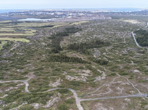 Urriðakotshraun loftmynd Alta