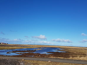 Votlendið við Kasthúsatjörn