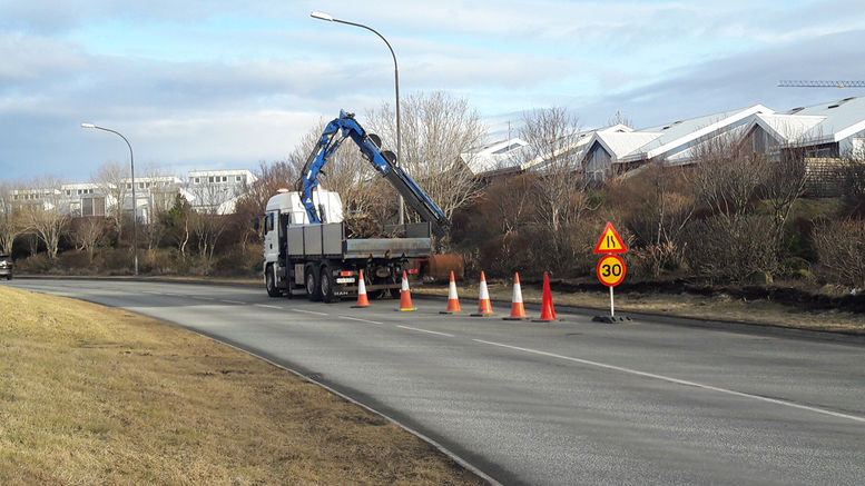 Krabbabíll hreinsar úr trjábeði við Bæjarbraut