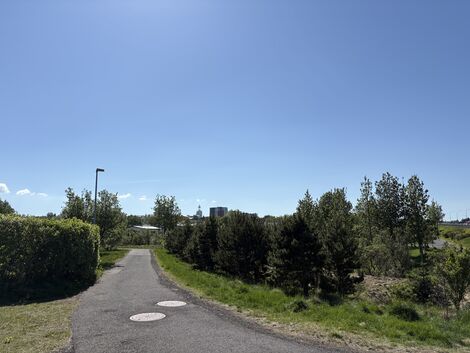 Gonguleidir