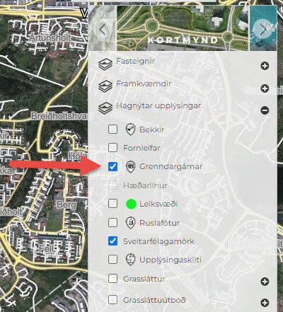 Grenndargamar_kortavefur_skjamynd