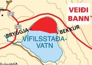 Veidibann