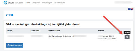 Vinnuskoli_vala_skjamynd_umsokn