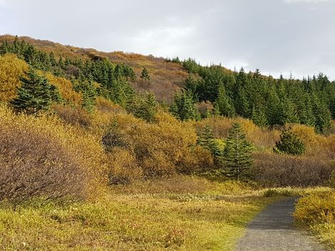 Heiðmörk